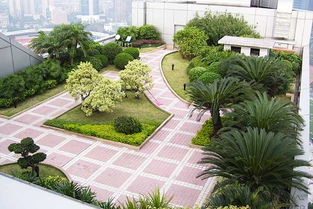 屋頂花園綠化這樣保養，倍有面兒