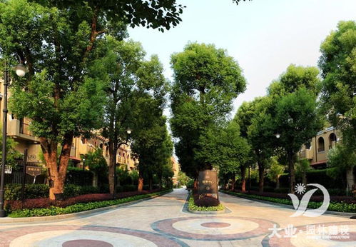園林綠化養護 樹木移栽時如何養護根部以提高成活率